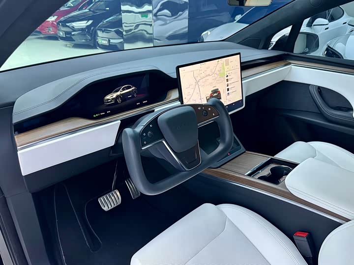 Tesla Model X, 2023 — фото 8 из 9