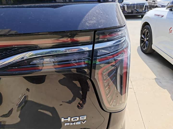 Hongqi HQ9 Hybrid, 2024 — фото 8 из 9