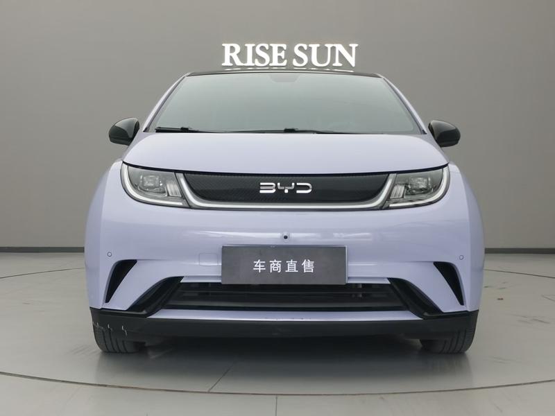 BYD Dolphin, 2024 — фото 2 из 12