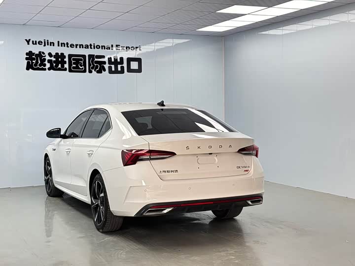 Skoda Octavia Pro, 2022 — фото 8 из 9