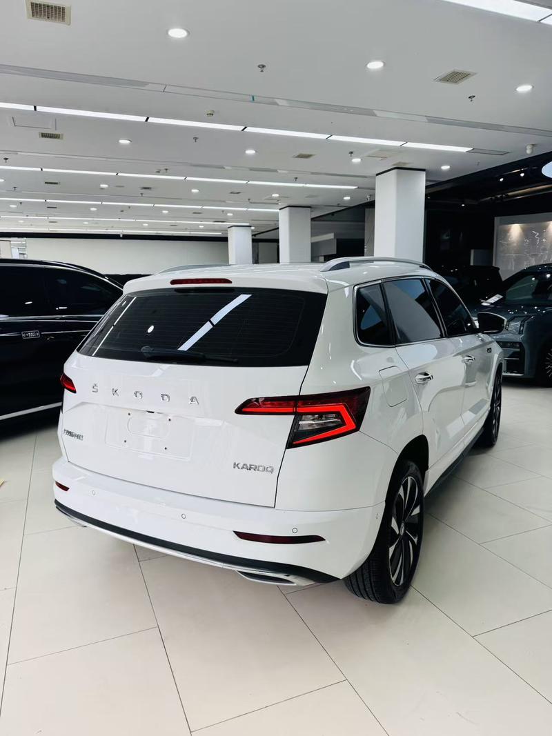 Skoda Karoq, 2023 — фото 6 из 12