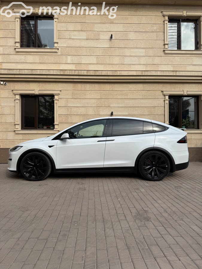 Tesla Model X, 2023 — фото 12 из 12
