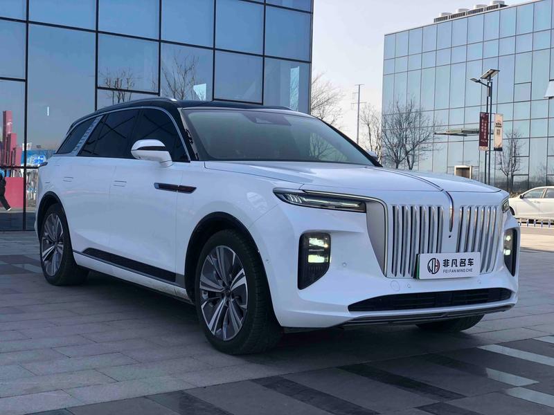 Hongqi E-HS9, 2023 — фото 3 из 12