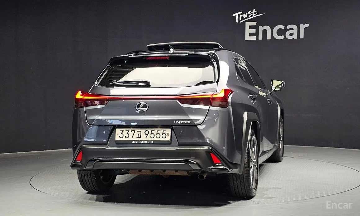 Lexus UX, 2023 — фото 4 из 12
