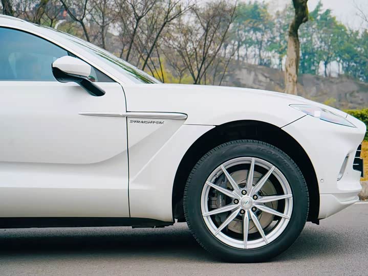 Aston Martin DBX, 2022 — фото 6 из 9