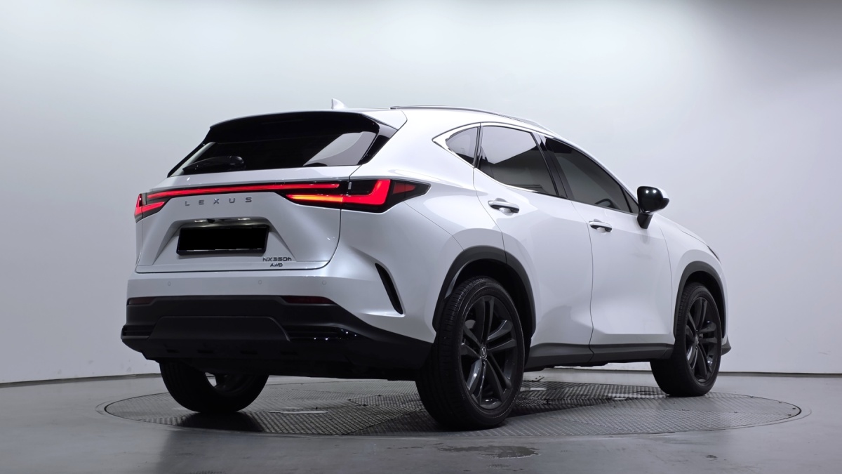 Lexus NX, 2024 — фото 2 из 12