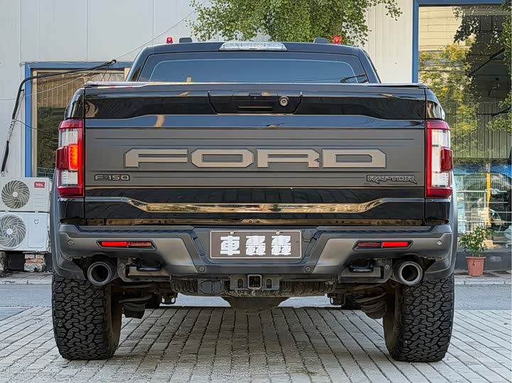 Ford F-150 Raptor, 2023 — фото 5 из 9