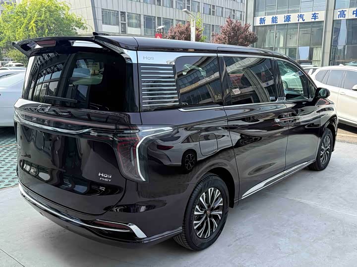 Hongqi HQ9 Hybrid, 2023 — фото 4 из 9