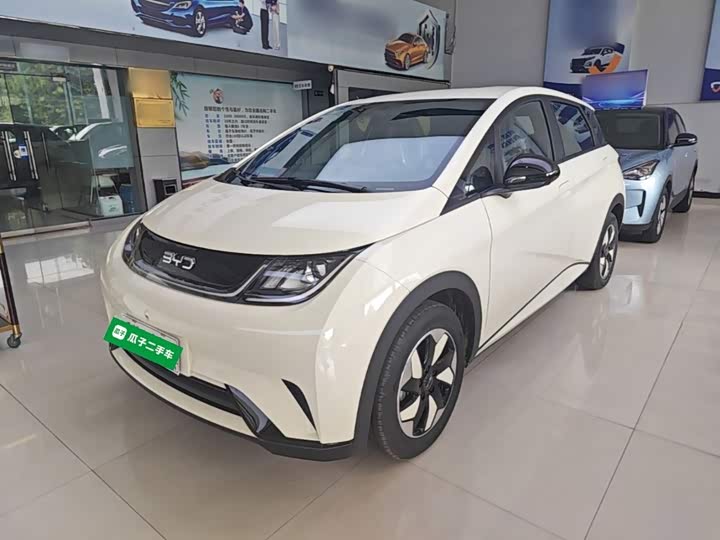 BYD Dolphin, 2026 — купить в Москве под ключ
