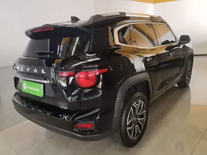 Haval H-Dog Hybrid, 2023 — фото 7 из 9