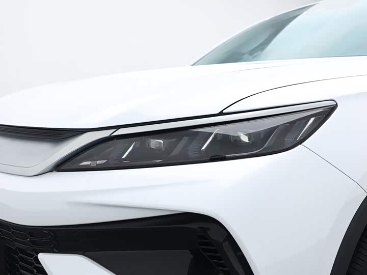 BYD Song Pro Hybrid, 2024 — фото 9 из 9