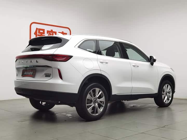 Haval H6 Hybrid, 2022 — фото 2 из 9