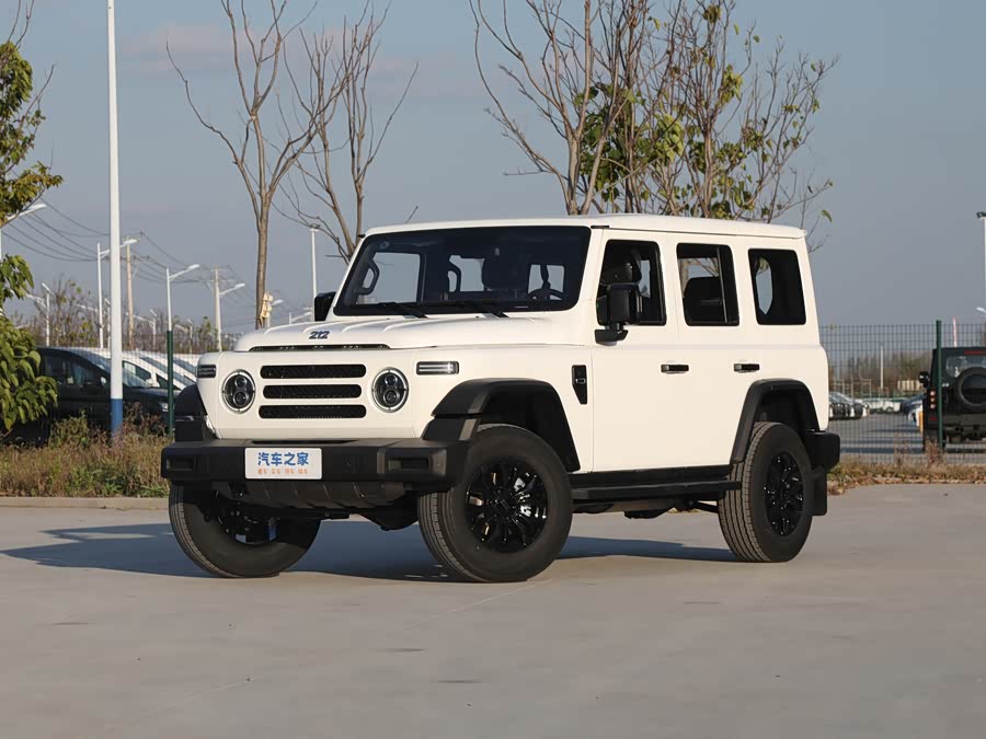 BAW 212 T01, 2026 — купить в Туле под ключ