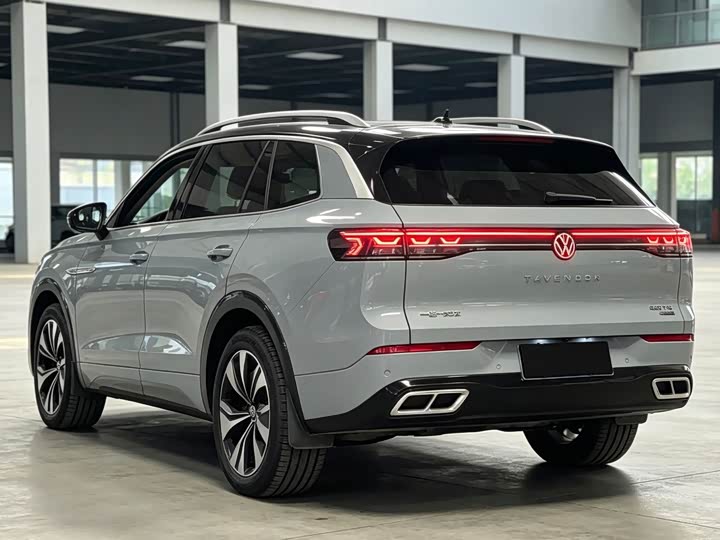 Volkswagen Tavendor, 2023 — фото 4 из 9