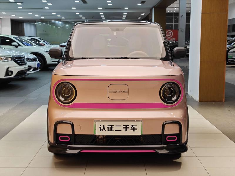 Geely Galaxy Panda Mini, 2024 — фото 2 из 12