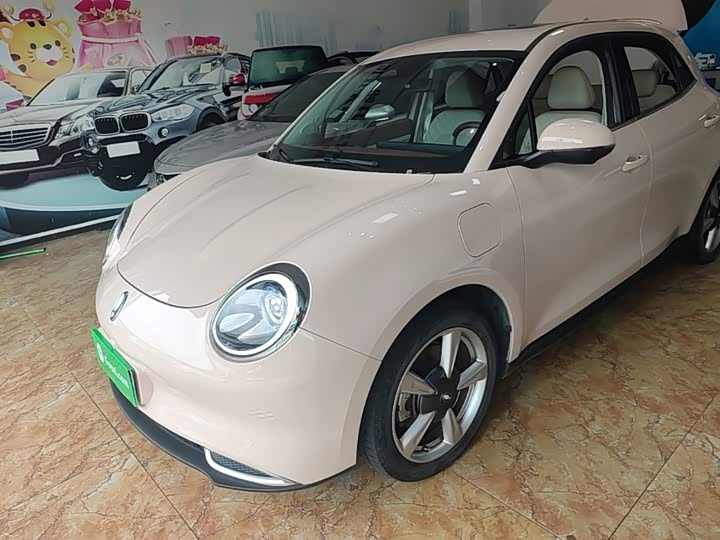 Ora Good Cat GT (03 GT), 2023 — купить в Пензе под ключ