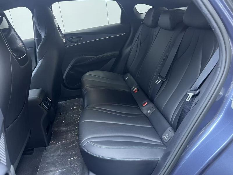 BYD Seal 06 Hybrid/EV, 2024 — фото 11 из 12