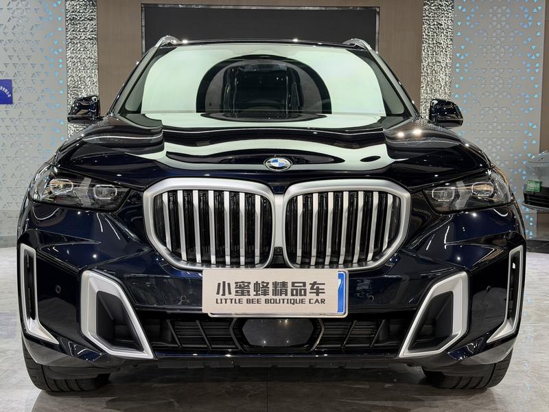 BMW X5, 2024 — фото 2 из 12