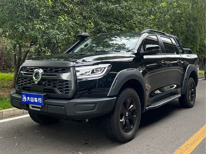 Great Wall Pao, 2022 — купить в Санкт-Петербурге под ключ