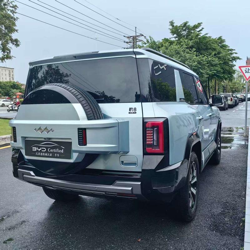 BYD FangChengBao Leopard 8, 2024 — фото 5 из 11