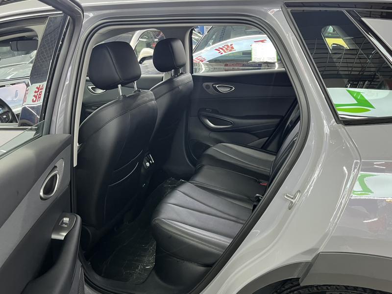 BYD Sea Lion 05 EV, 2025 — фото 11 из 12