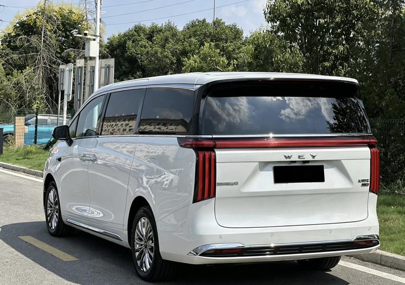 Wey 80 Hybrid, 2025 — фото 5 из 12