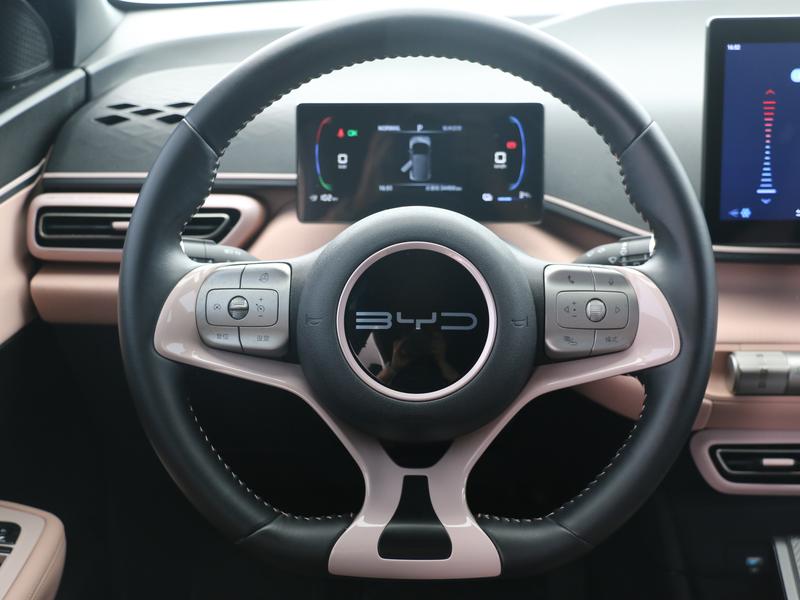BYD Seagull, 2023 — фото 11 из 12