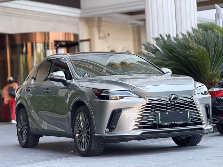 Lexus RX Hybrid, 2023 — фото 2 из 9