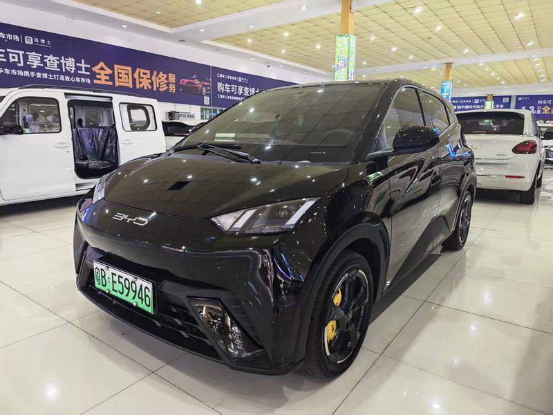 BYD Seagull, 2023 — купить в Самаре под ключ