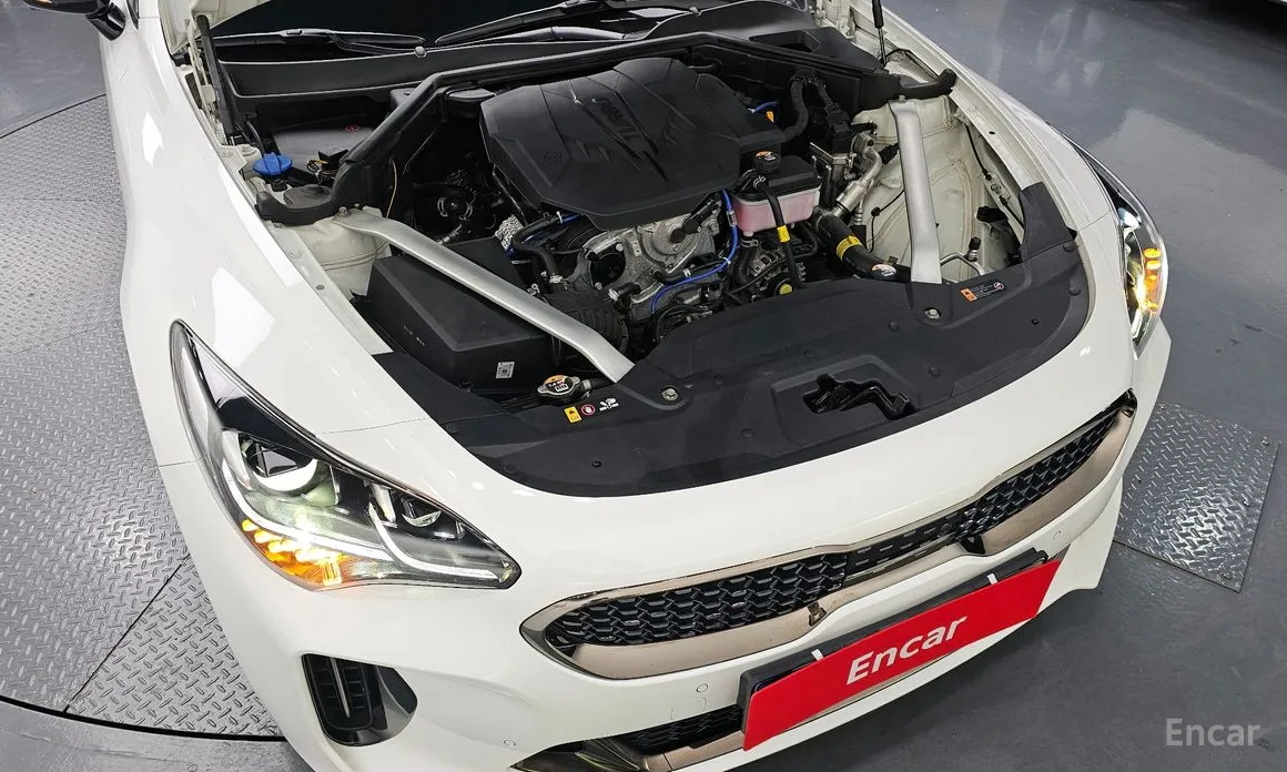 Kia Stinger, 2022 — фото 6 из 12