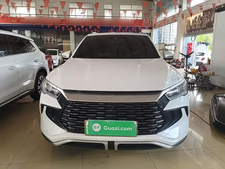 BYD Song Pro Hybrid, 2024 — фото 3 из 9