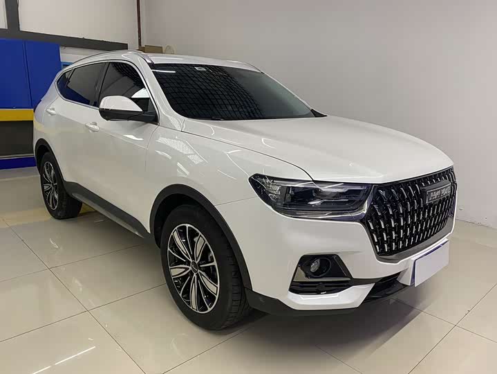 Haval H6, 2023 — фото 3 из 9