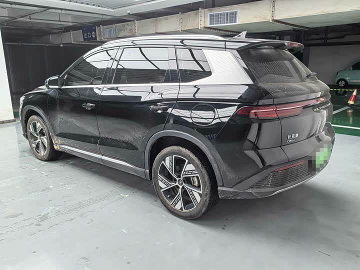 BYD Song Pro Hybrid, 2024 — фото 4 из 9