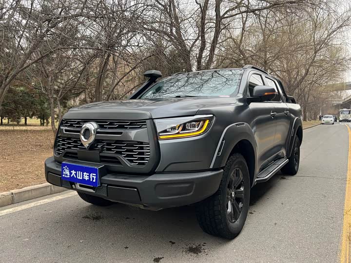 Great Wall Pao, 2022 — купить в Санкт-Петербурге под ключ