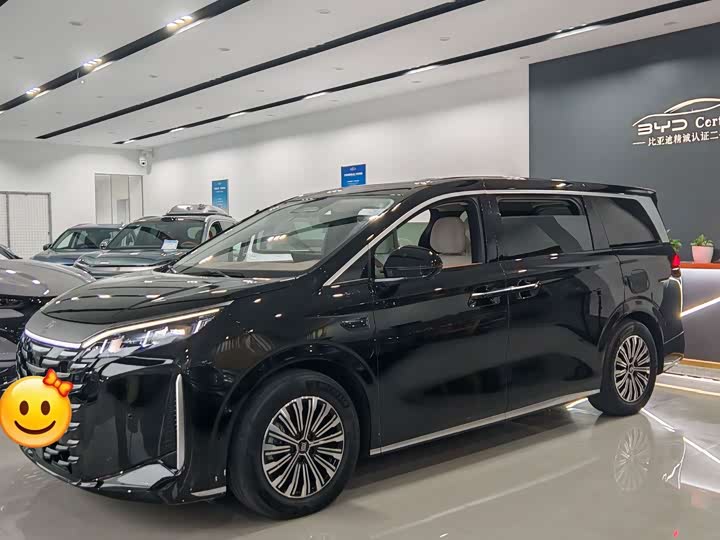 BYD Xia, 2025 — купить в Тольятти под ключ