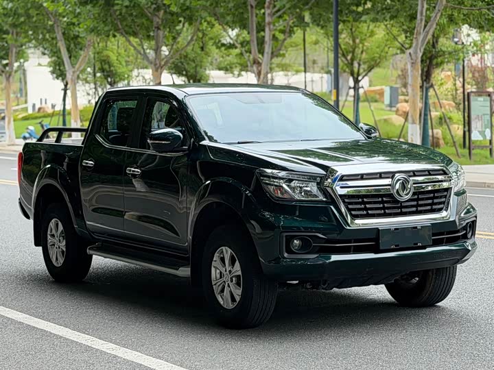 Dongfeng Rich 6 Pro, 2023 — фото 3 из 9