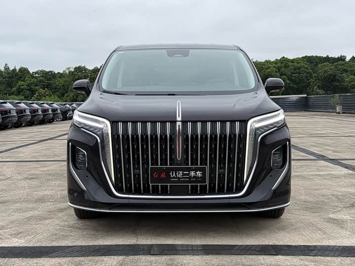 Hongqi HQ9 Hybrid, 2024 — фото 2 из 9