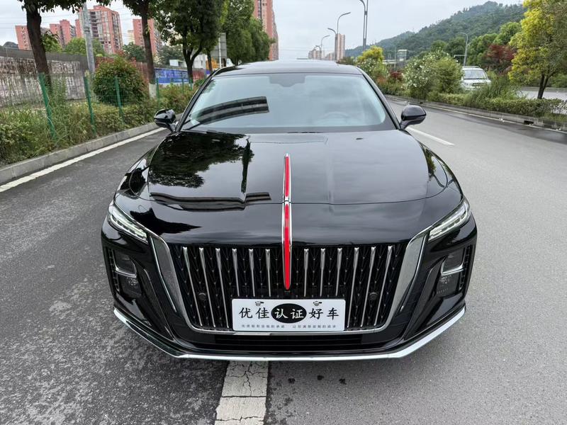 Hongqi H5, 2024 — фото 2 из 10