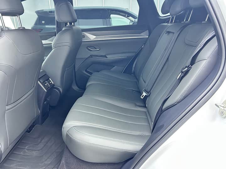 BYD Song Pro Hybrid, 2025 — фото 7 из 9