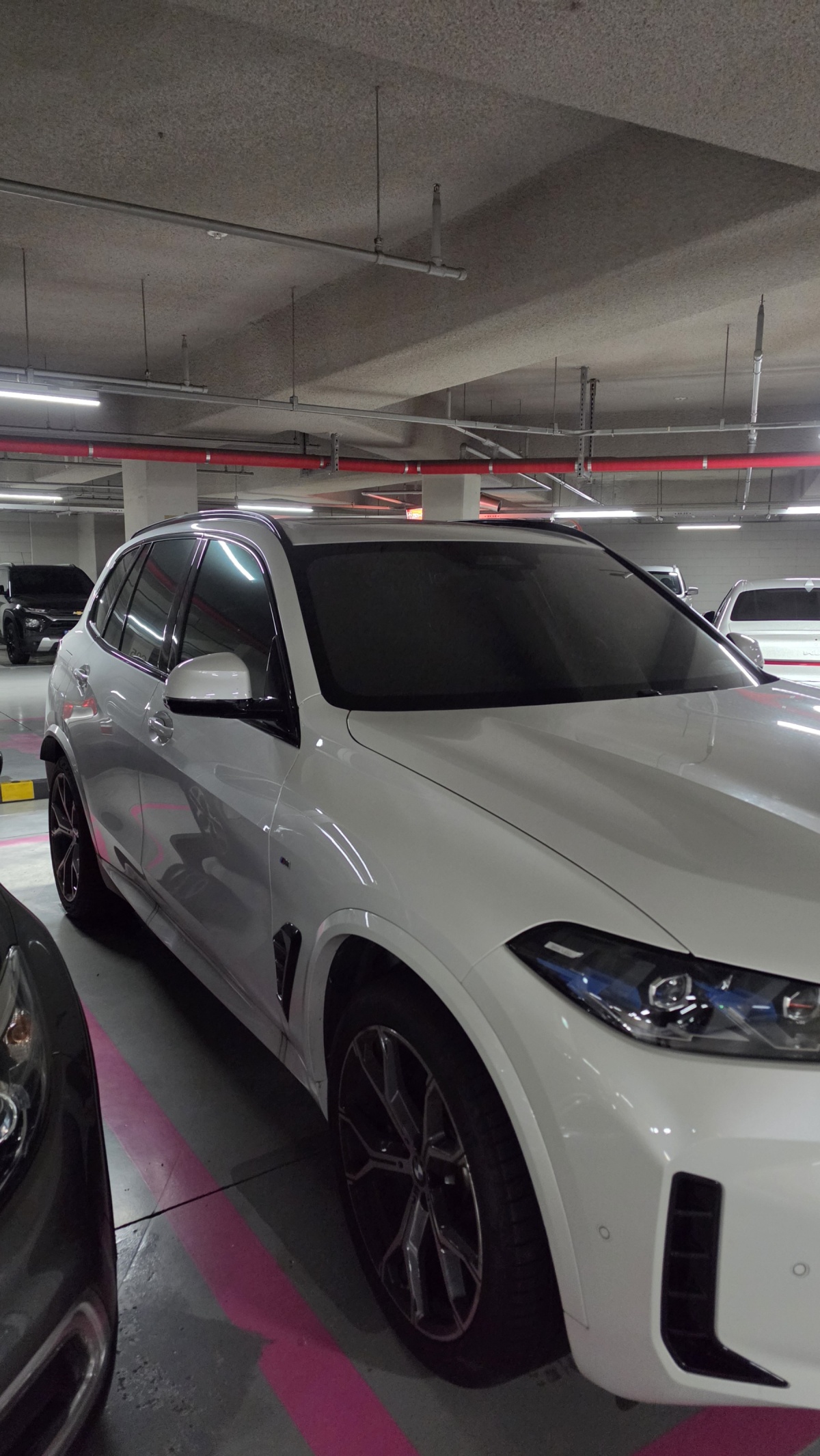 BMW X5, 2025 — фото 9 из 12
