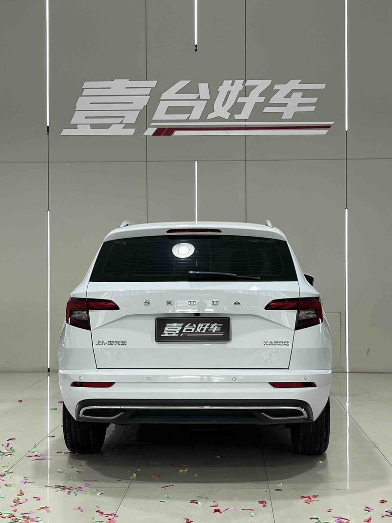 Skoda Karoq, 2023 — фото 5 из 10