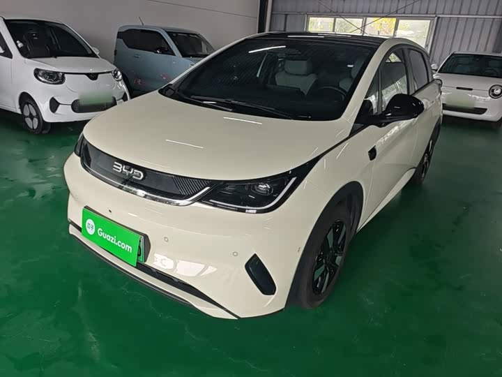 BYD Dolphin, 2025 — фото 2 из 9