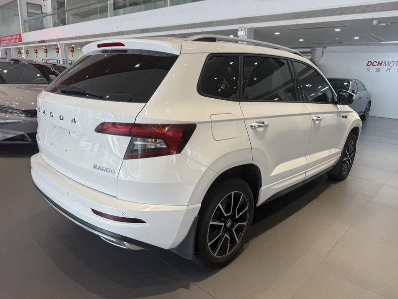 Skoda Karoq, 2022 — фото 6 из 12