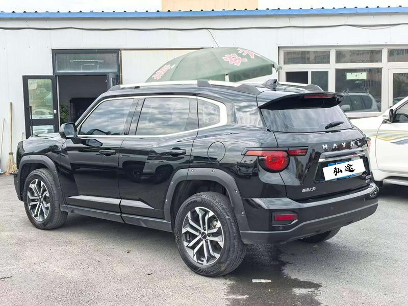 Haval H-Dog, 2023 — фото 4 из 9