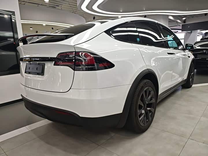 Tesla Model X, 2023 — фото 7 из 9