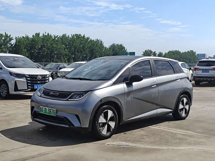 BYD Dolphin, 2023 — купить в Самаре под ключ