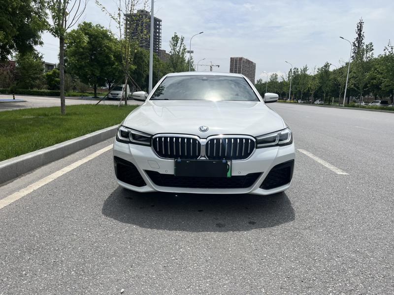 BMW 5 Series Hybrid, 2021 — фото 2 из 12