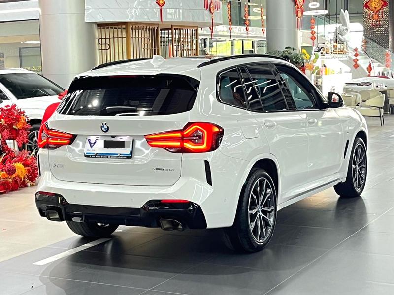 BMW X3, 2023 — фото 6 из 10