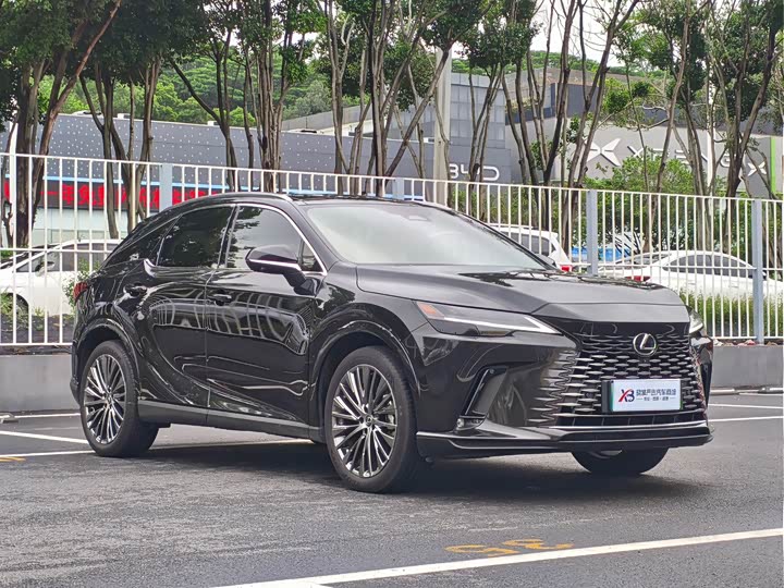 Lexus RX Hybrid, 2023 — фото 3 из 9