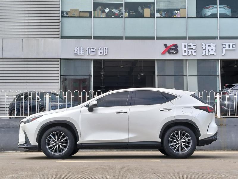 Lexus NX, 2023 — фото 4 из 12